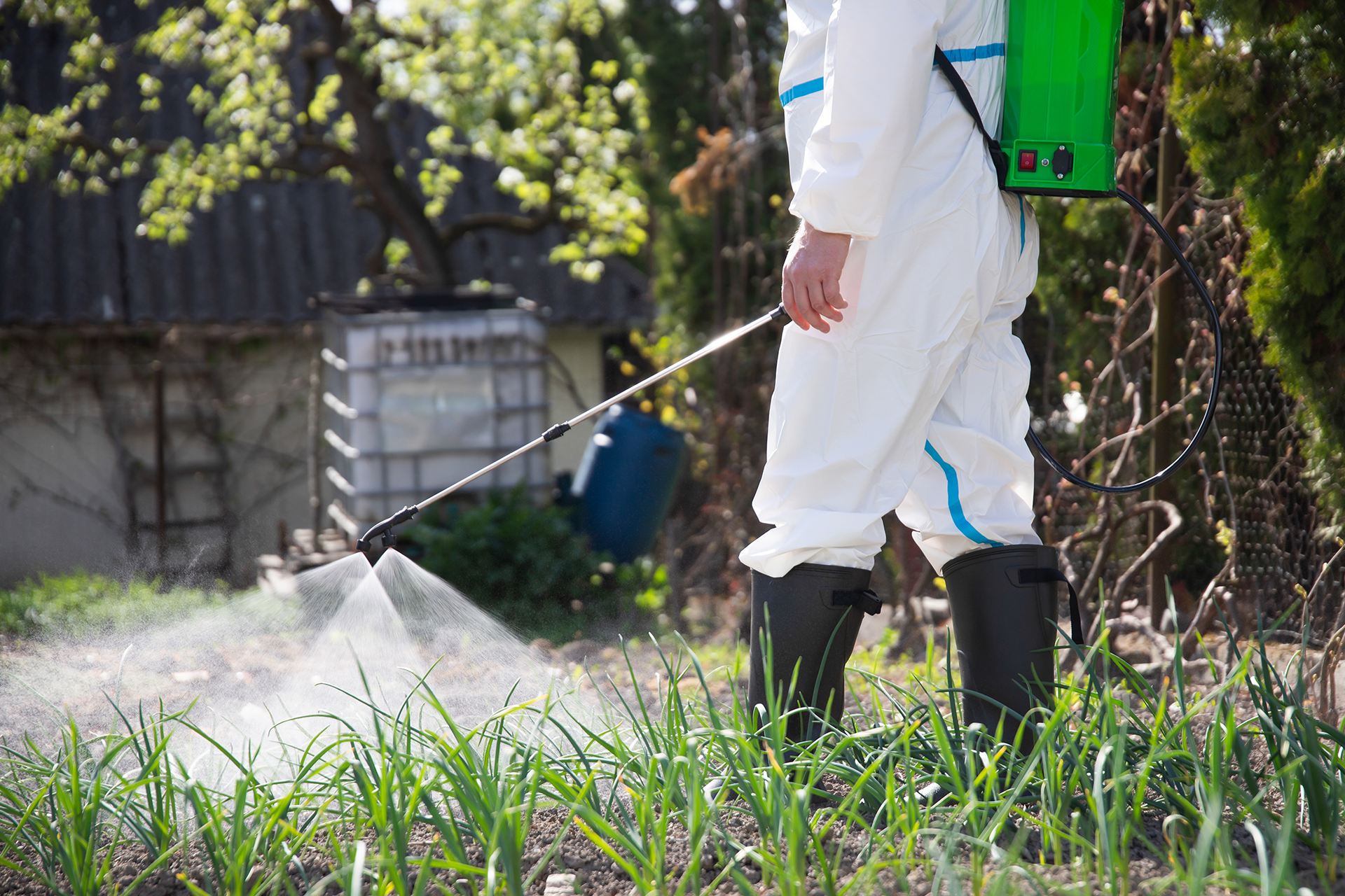 Outdoor & Pet Area Pest Control Service