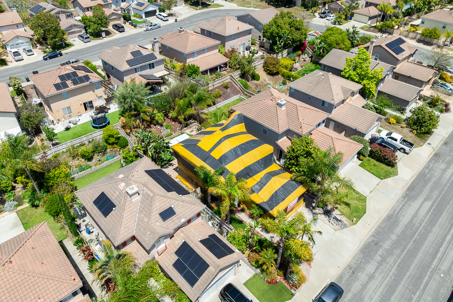 Termite Inspection and Treatment